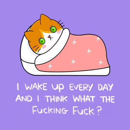 This is a image alt